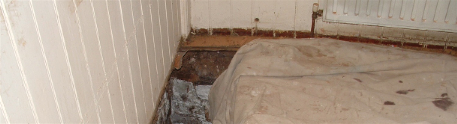 Wet rot treatment - Property Care Association